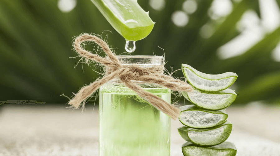 Comment faire du jus d'Aloe Vera? - Chef Mamie