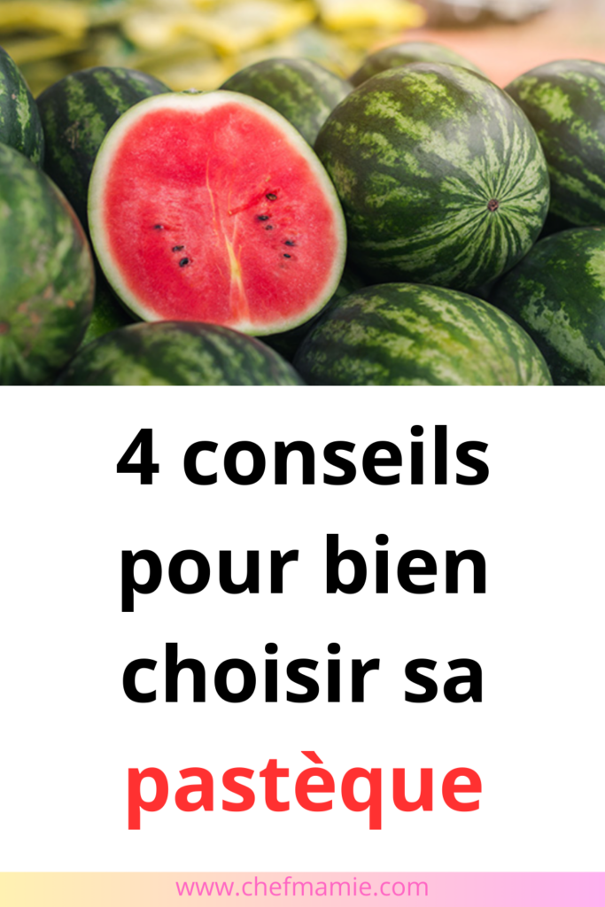 Voile Anti-mouches Pour Cheval Lemieux – Pastèque, Taille XLarge – Neuf Sans étiquette